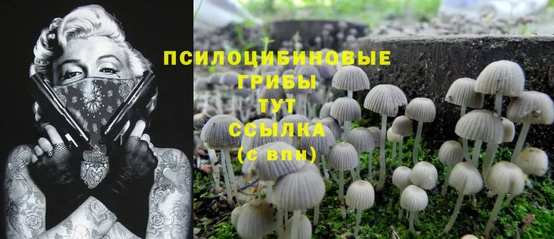 Псилоцибиновые грибы Magic Shrooms  Аксай 